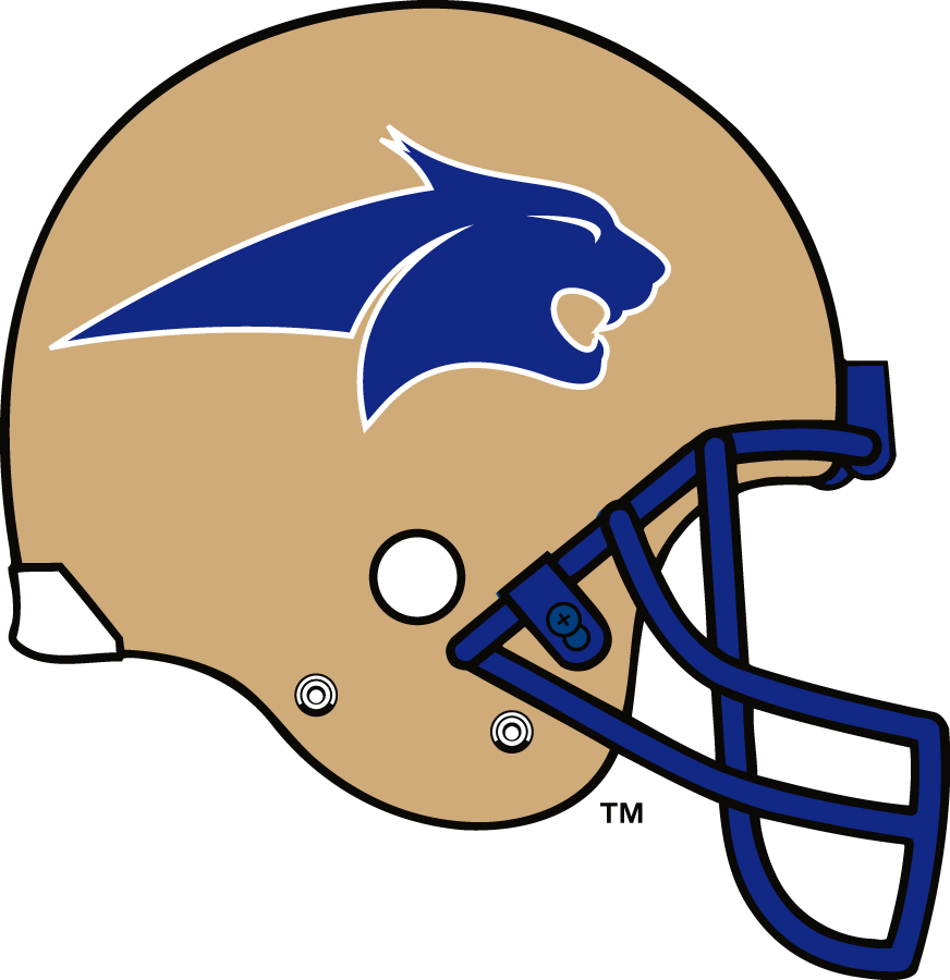 Montana State Bobcats 1997-1999 Helmet Logo DIY iron on transfer (heat transfer)